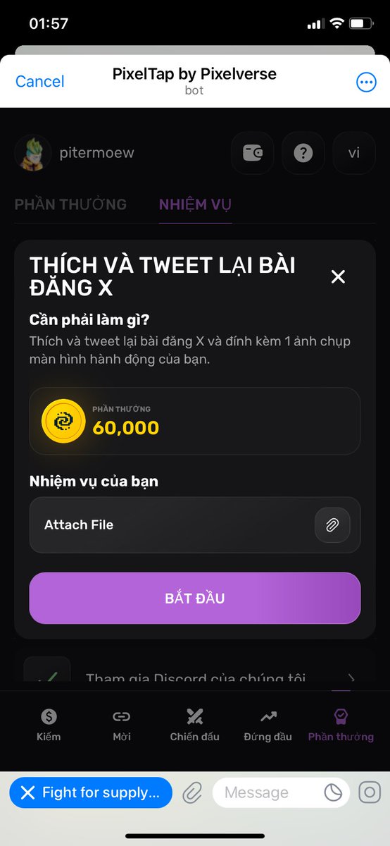 pet land tweet media