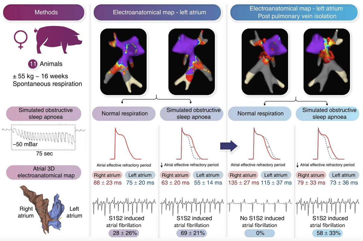 Europace Editor-in-Chief tweet media