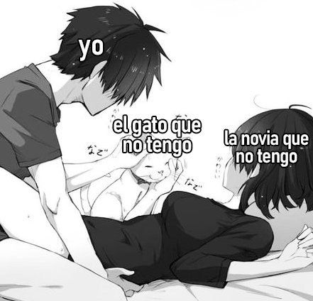 wikipistacho's tweet photo. https://t.co/2jb2k3LrQv