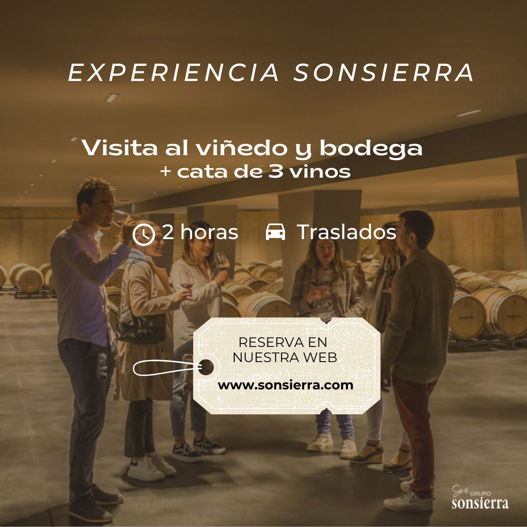 🍇✨ ¡Descubre el encanto de nuestra bodega! ✨🍇

📅 ¡Reserva tu visita hoy mismo!
📞 941 33 40 31 | 🌐 sonsierra.com/enoturismo/ 

#bodegassonsierra #sanvicentedelasonsierra #rioja #vineyards #enoturismo #viñedos #riojawine #lariojaapetece #visitalabodega #experienciasonsierra