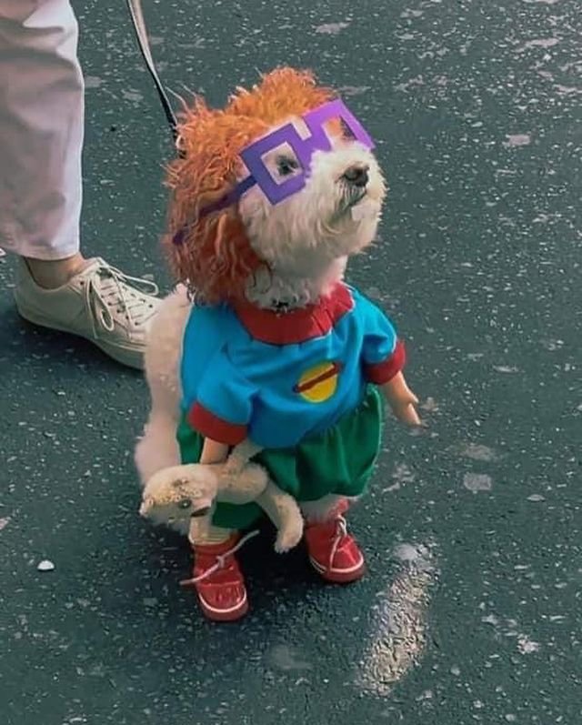 twaniimals's tweet photo. https://t.co/dszXrl2R6z