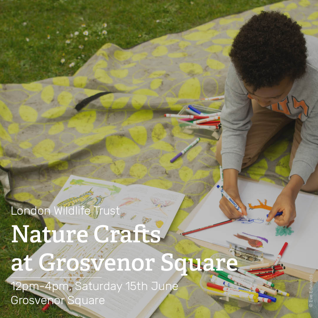 Come along to Grosvenor Square and join @Wildlondon on Saturday 15th June from 12pm-4pm for a free day filled with nature-inspired crafts🍃 From hapa zome printing to wood crafting 

Check out our link below for more details and how to book 👇 
bit.ly/3UyDjUY