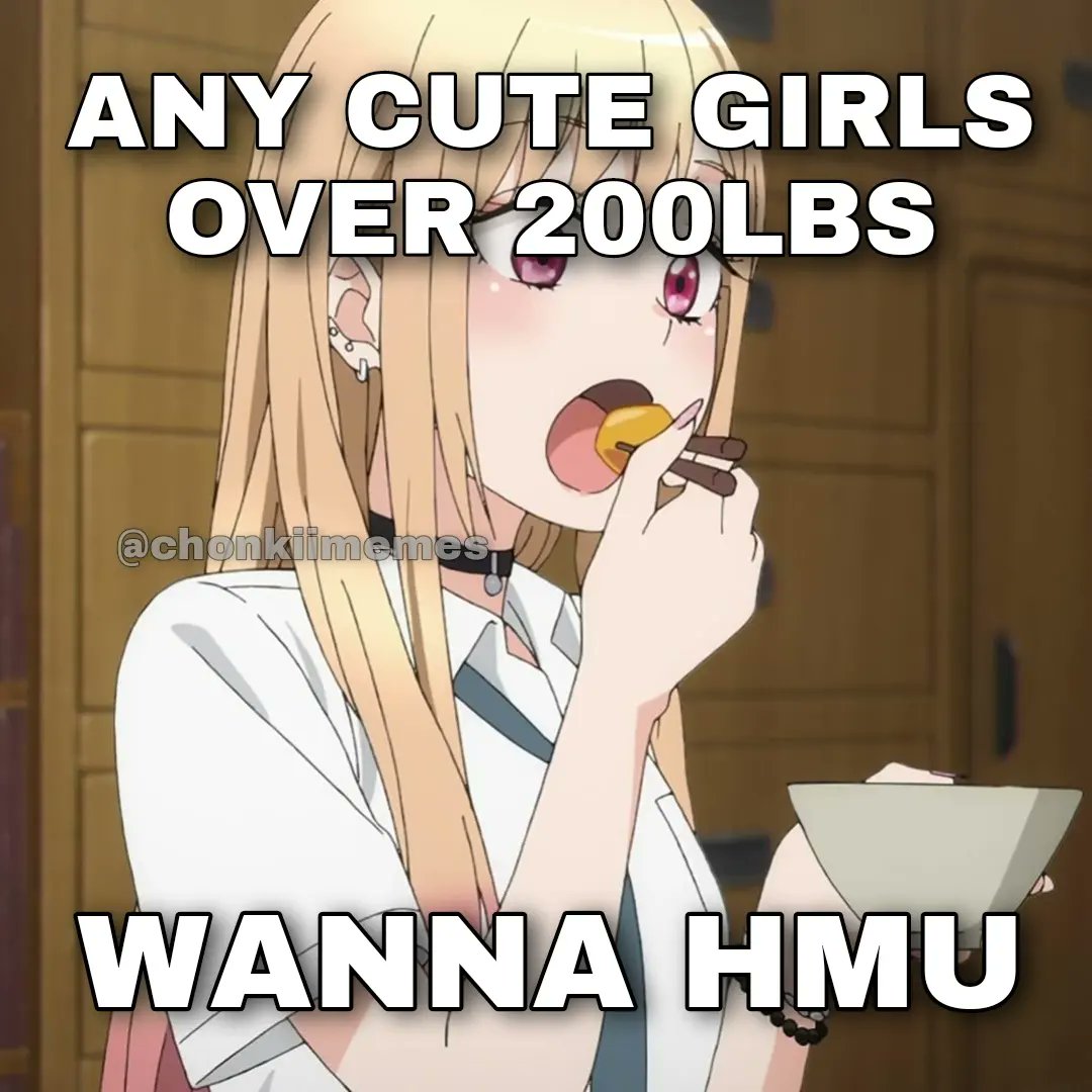 Daily Fat Admirers Memes tweet media