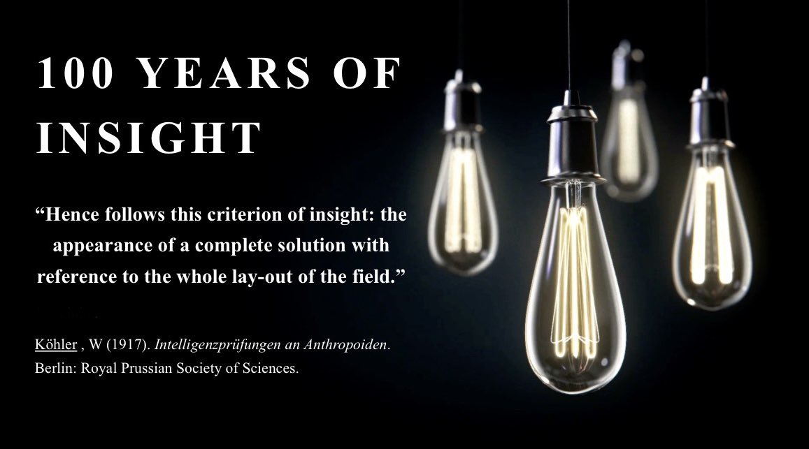 “ Insight et al.,”  I have never seen so many insight researchers together! #ICT2024 hosted 4 symposia on problem-solving, insight and Creativity!!! What a momentum!!