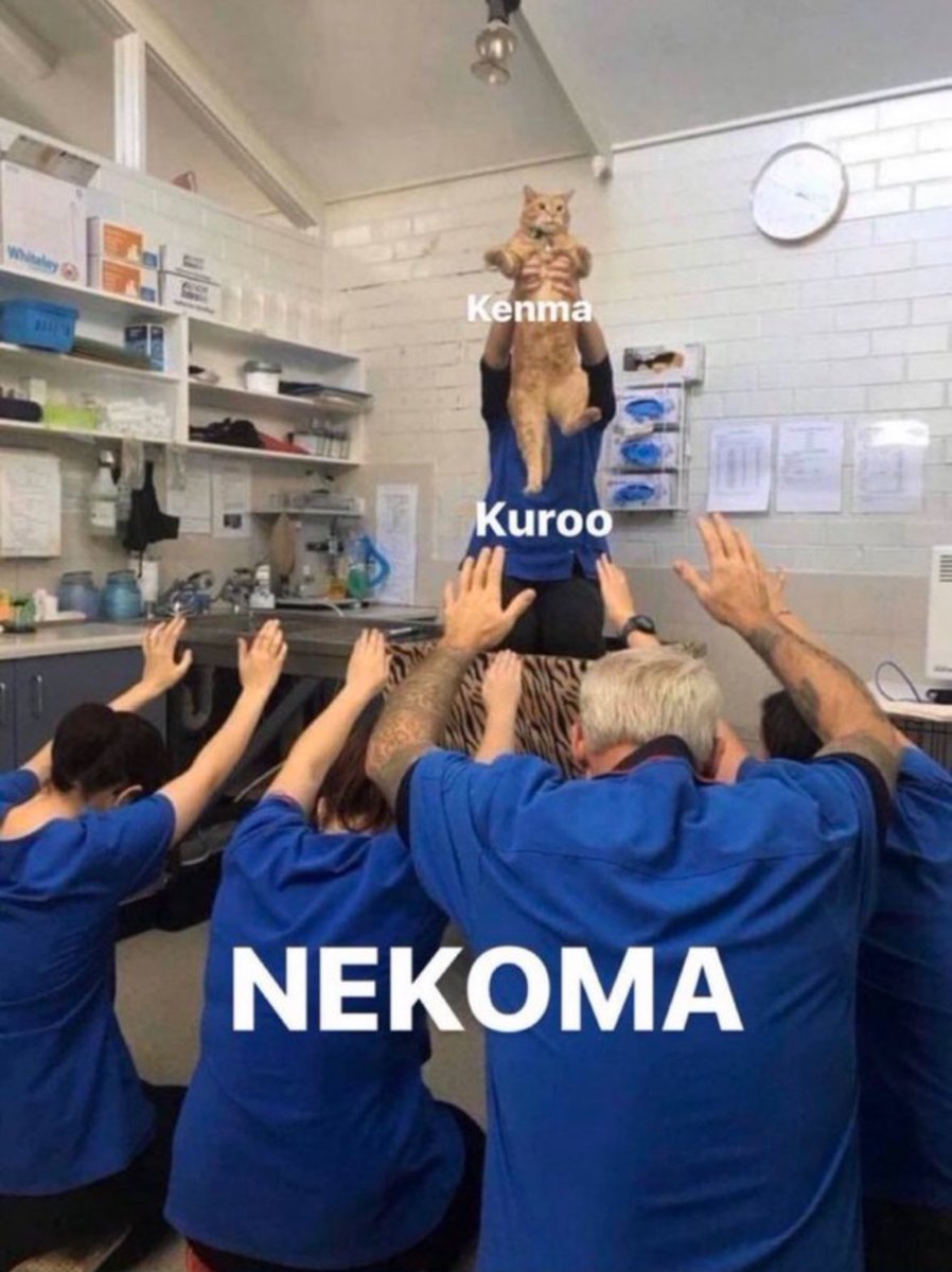 kagstinycrown's tweet photo. no one loves kozume kenma more than nekoma https://t.co/FHZKfTcbqg