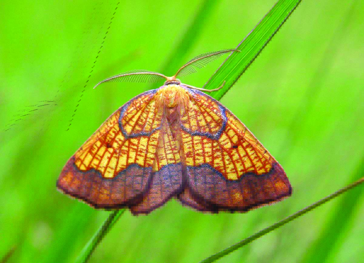 Yorkshire Wildlife Trust - follow us on Bluesky 🦋 tweet media