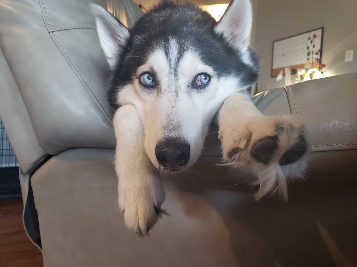 EllenEAndersen1's tweet photo. @CoreyBrickley He either looks like he has no thoughts or like he's absolutely nuts, there is no in-between. https://t.co/xVxOE2cDtx