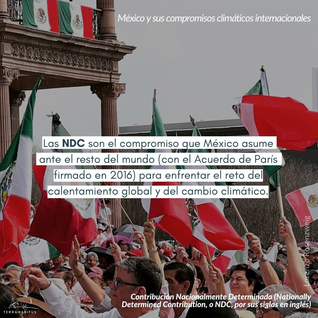 Si la temperatura del planeta sigue aumentando, los fenómenos meteorológicos seguirán intensificándose. México y el mundo deben cumplir con sus #CompromisosClimáticos para luchar contra el #CalentamientoGlobal

👉🏼Por Mariana Díaz Ávila y #LorenzoRosenzweig
terrahabitus.org.mx/mexico-y-sus-c…