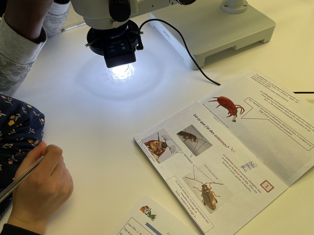 MISS_sciences's tweet photo. 13/06 - La 1ère de quatre L3 auj. avec l’atelier Bulles et mousse et une classe de CM2 de @Palaiseau91. En parallèle, d’autres L3 se forment à l’atelier Vie dans le sol avec des élèves de 6e en segpa de @Savigny_Off_91
@CDEssonne #CD91 https://t.co/9Mhar1CY4F