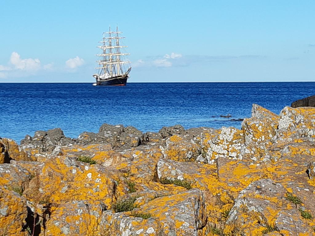 Harri Kämäräinen tweet media