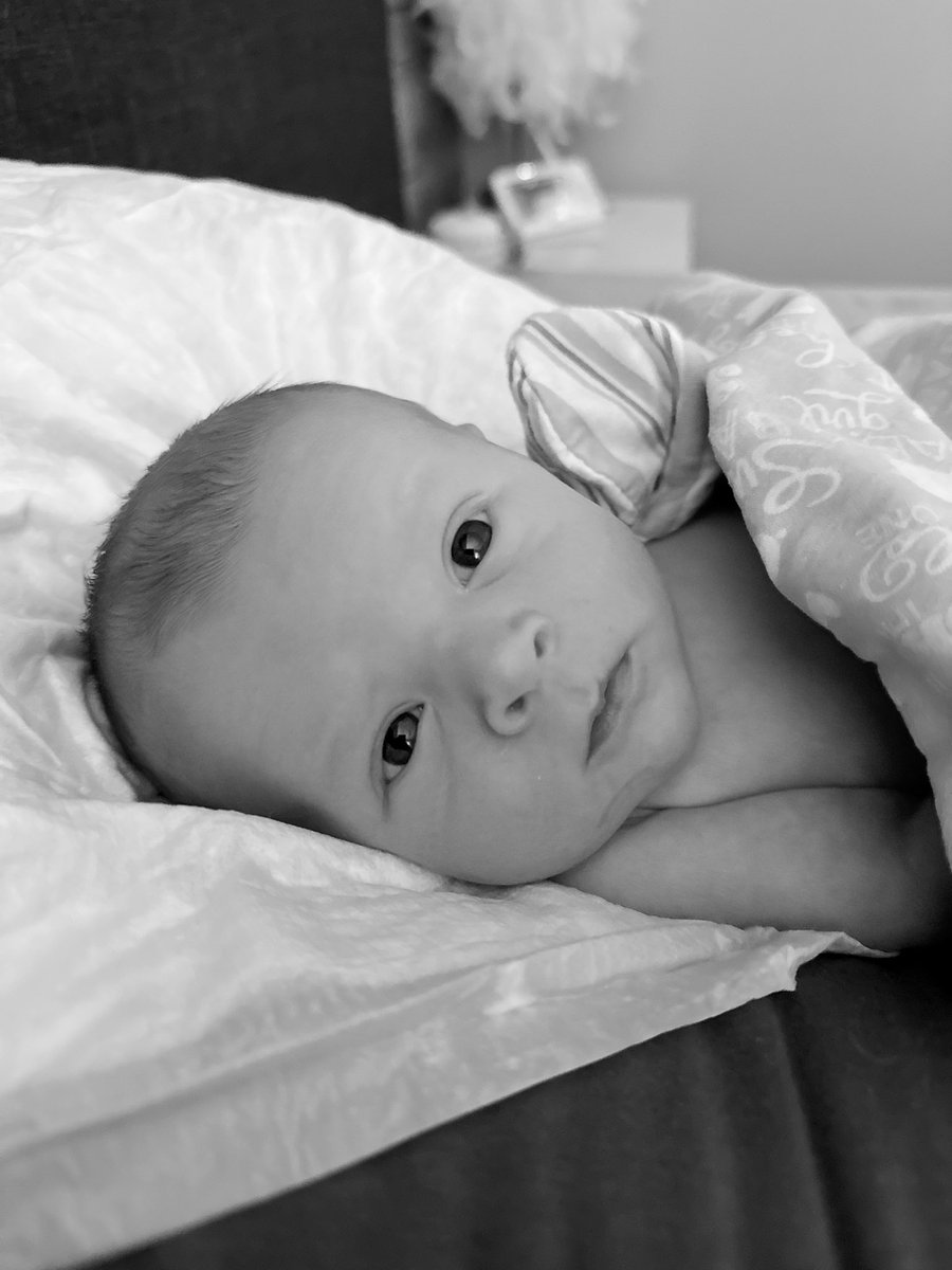 Mrs. Lepine tweet media