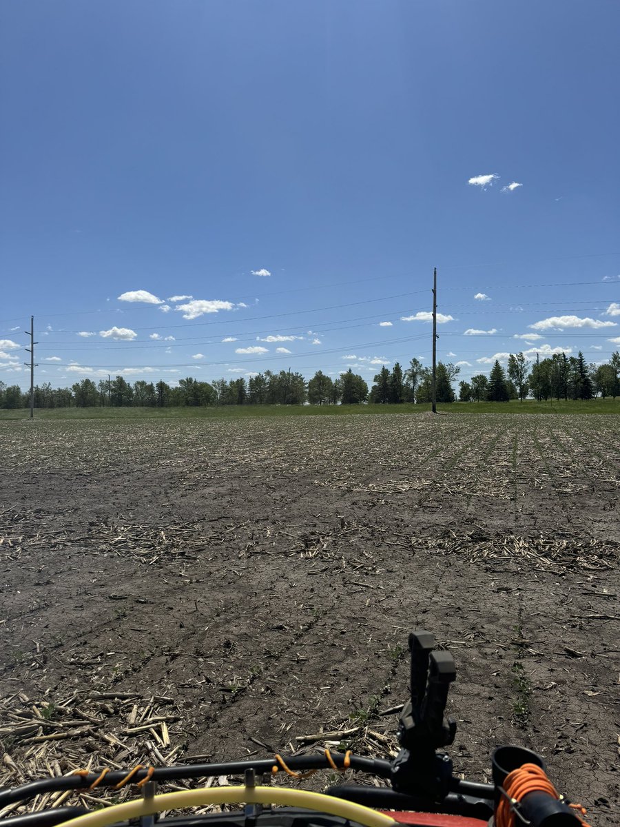 Find at least 1 golf ball in this field every year. And you’ve gotta shank it pretty good because the fairway is on the other side of those trees; at least 85-100 yards away.