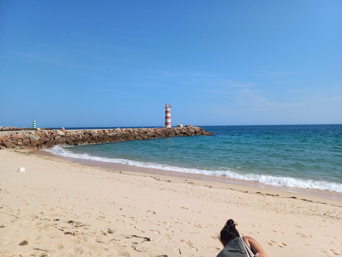 Cyril_Anjou's tweet image. Time to come back from a pleasant week at the #symbnet2024 conference ☺️🌿
Wonderful scientific discussions and location, and lucky to have met wonderful peoples