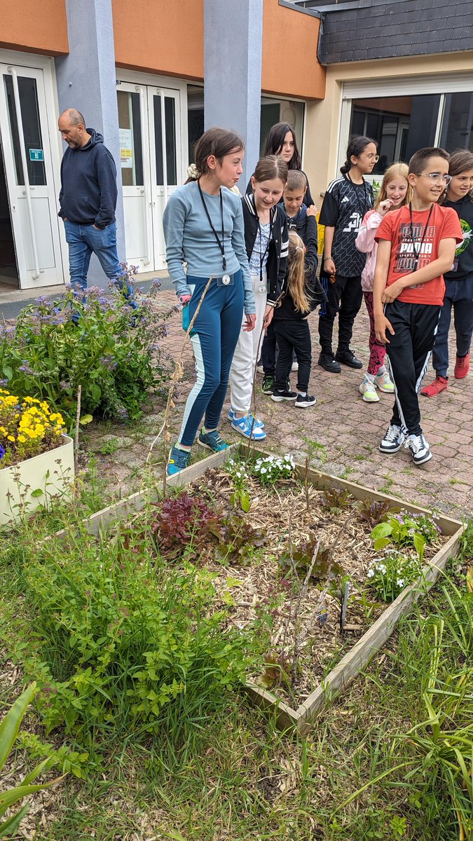 SKadimaMutombo's tweet photo. Faire entrer les parents au collège Émile Lambert @villerssaintpaul pour découvrir le jardin des élèves. Un beau projet et une belle récolte @DSDEN60 @AcAmiens @CD_oise https://t.co/1TLNzsELGd