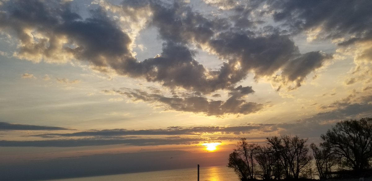RareCat's tweet photo. Good Day Friends.
#TyBrotherBarry @BarryVee 
#Sunrise #BeattieBeach #ROC
True love always finds a way to communicate.
#LoveIsTheEnergyOfLife
#LoveIsAllUNeed
#HABD ☮️❤️ https://t.co/ZBRYLpacmK