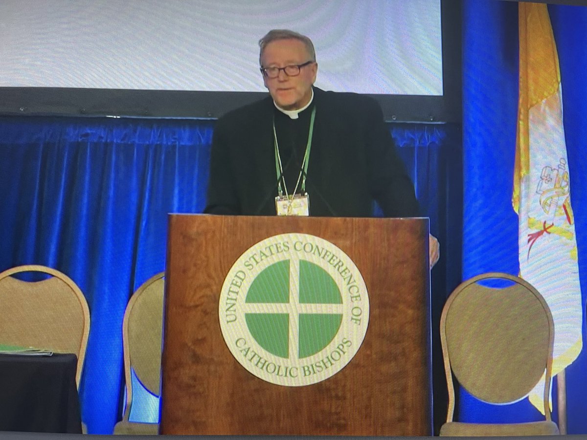 lambom2's tweet photo. ⁦@BishopBarron⁩ presents “Listen, Teach, Send” a summons to the Church to renew her engagement with youth and young adults #USCCB24 https://t.co/BHeLAl7MUR