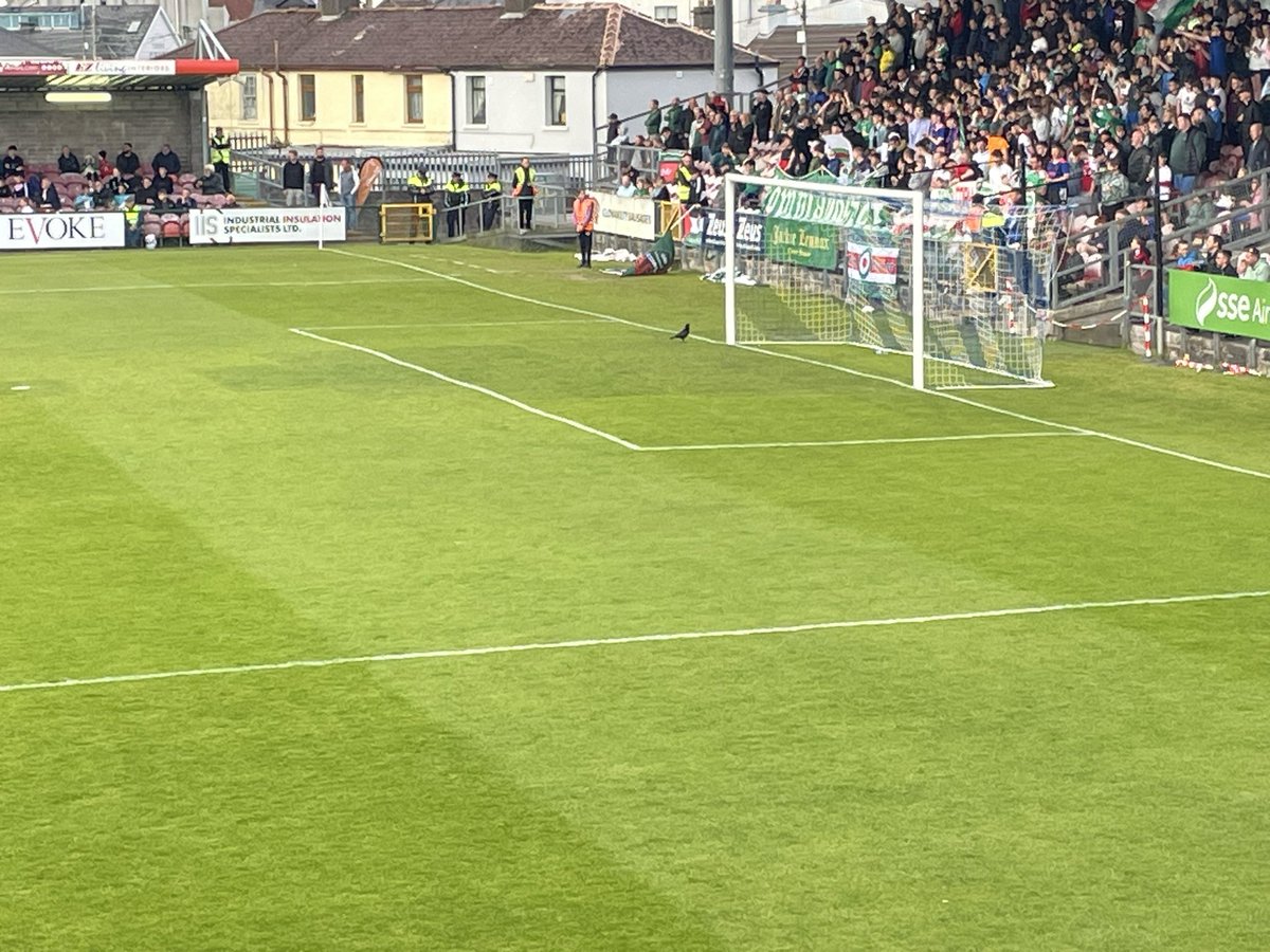 Brendan Daly tweet media