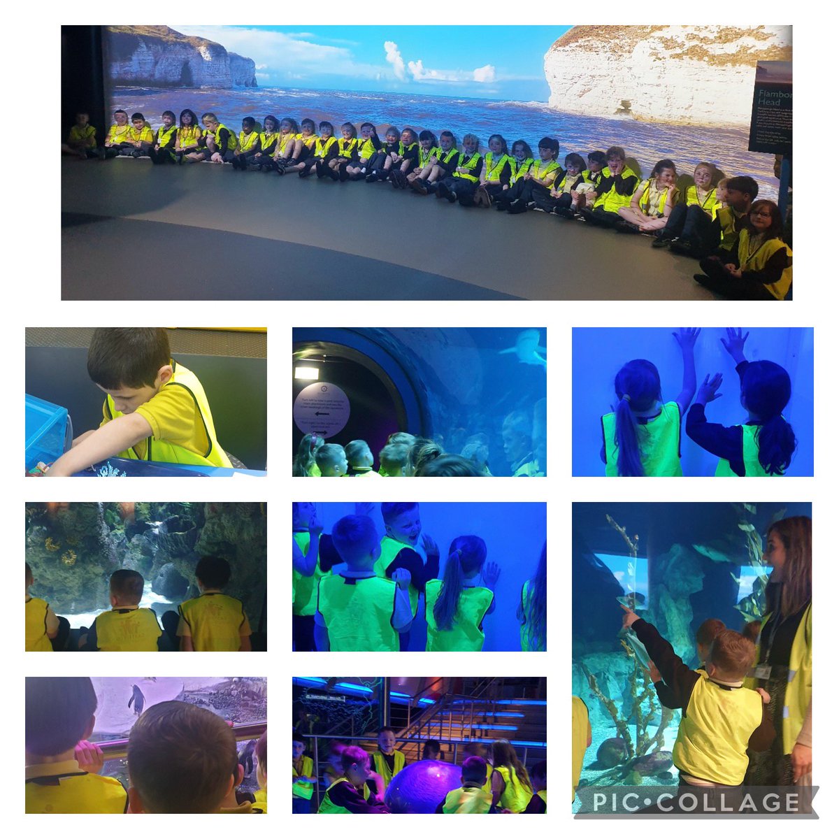 EastfieldPSHull's tweet image. Some more snaps of our wonderful trip #epsgeography #epshistory #2SS 🦈 🐟 🐧