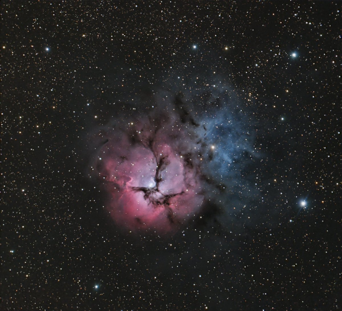 ‼️Encore une photo de fou, j’en suis fier !! 

Voici la nébuleuse trifide, un énorme nuage de gaz ou des étoiles sont nées et continuent à naître 🥰 je l’ai prise avant hier