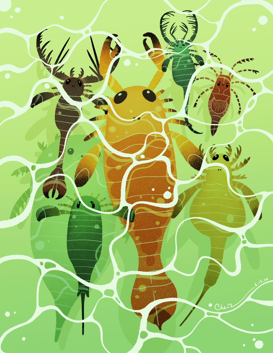 Sea scorpions 🌊🦂

You can clearly tell what I’ve been obsessed this week! They lived in different times and habitats, but I  just want to imagine them gathering together and show what a masterpiece nature has done once upon a time!