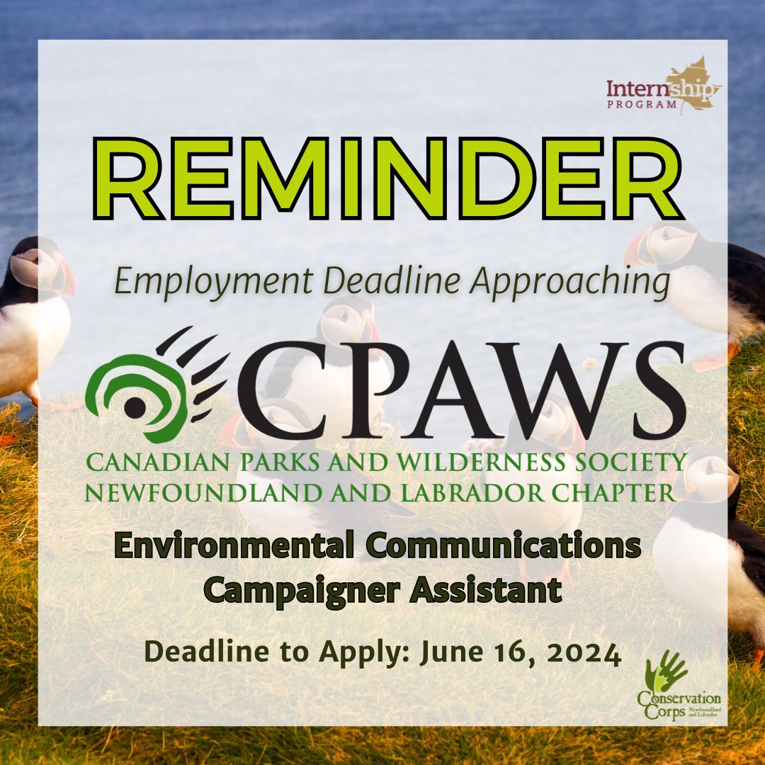 Conservation Corps Newfoundland and Labrador tweet media