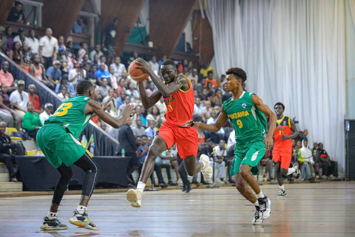 Silverbacks tweet media