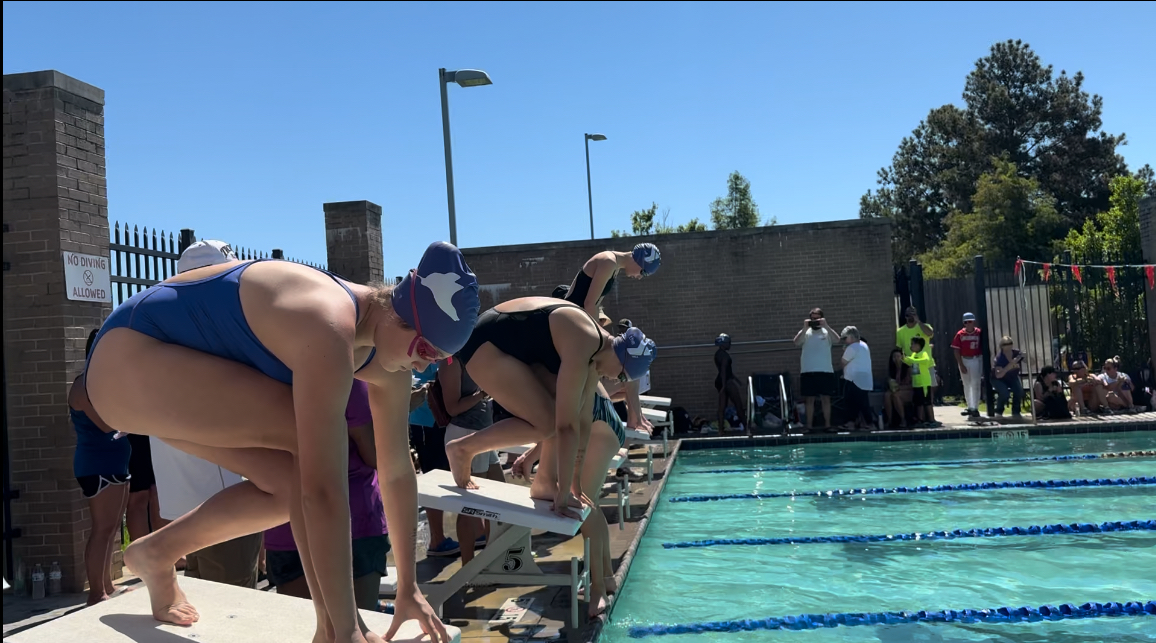YMCABR's tweet photo. This past weekend the YMCA of the Capital Area Swim Team had their first swim meet. Great job to all of the swimmers who attended! #GoStingrays https://t.co/fjYIHs411d