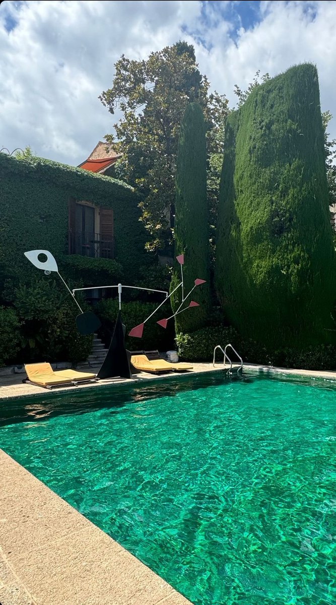 plmecc's tweet image. Iykyk