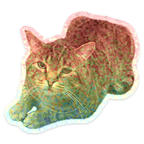 mvcwell's tweet photo. @meowingforfun pee https://t.co/YPYBkWeiQN