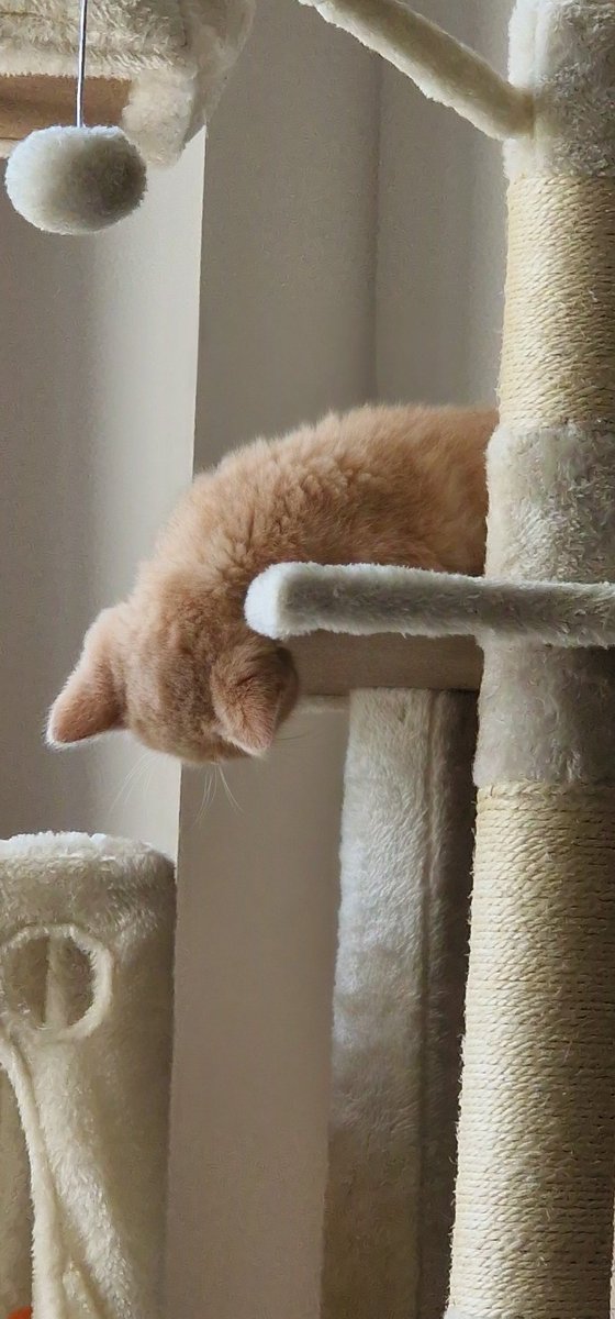 pingustasia's tweet photo. Y tho? https://t.co/qoUM1IJRJu