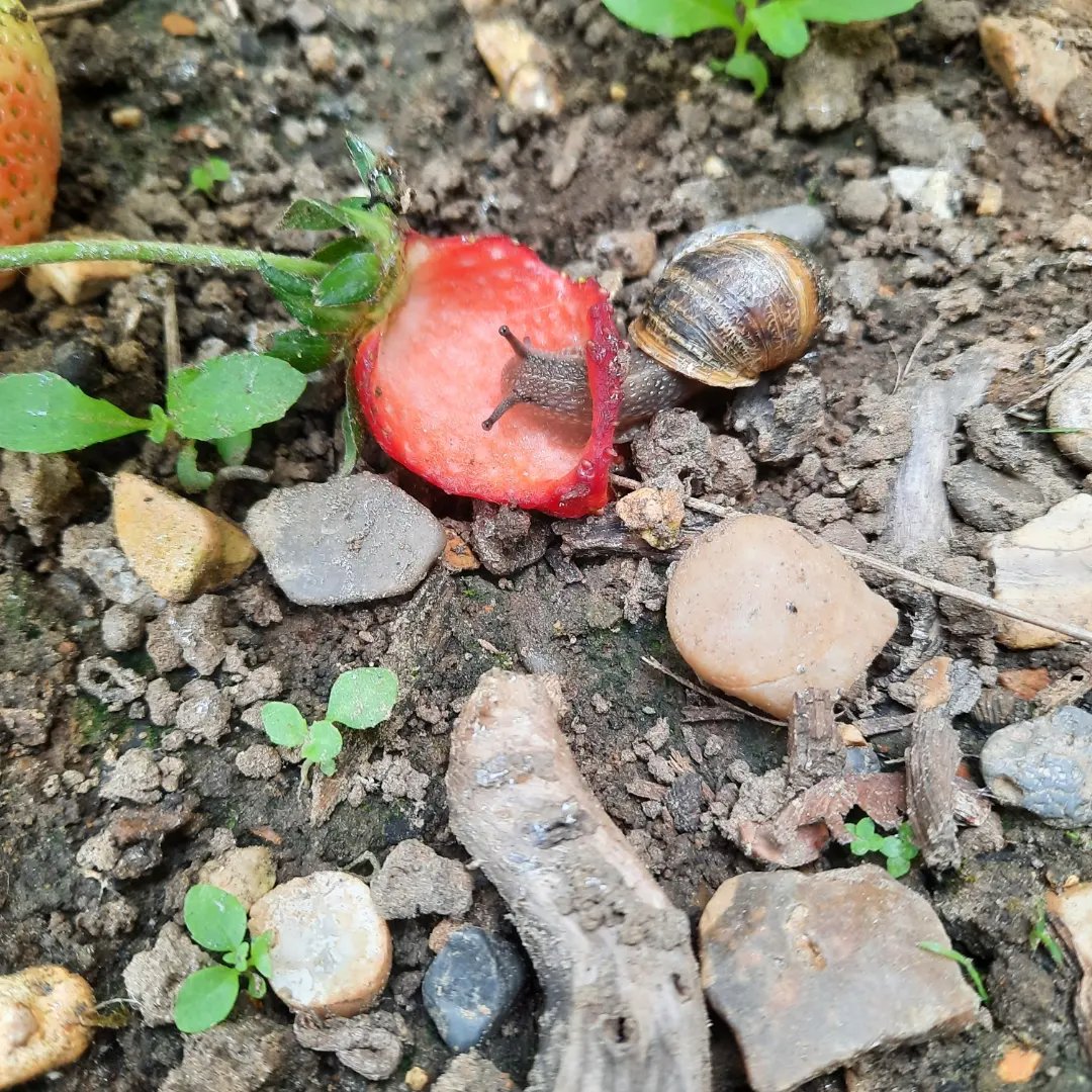 Pascale Vassie 🧡💙 tweet media