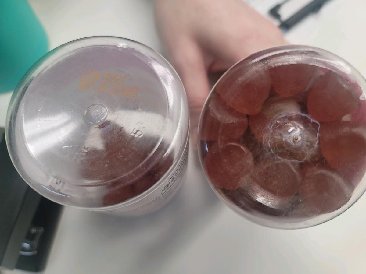 Debbie Brown tweet media