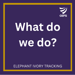 UW Center for Environmental Forensic Science tweet media