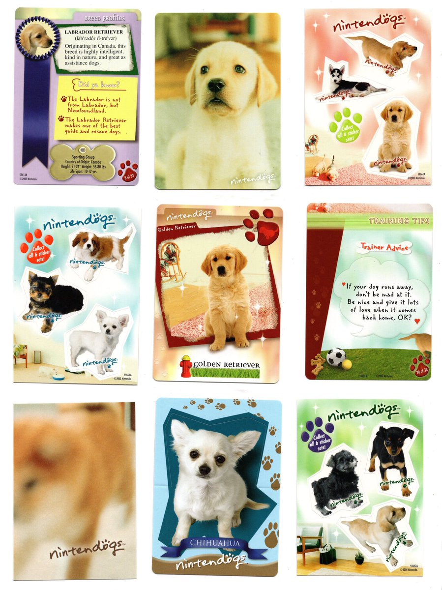 brainb4rf's tweet photo. nintendogs scans ૮ • ﻌ - ა🐾♡₊ ⊹ https://t.co/h68BJSyrYd