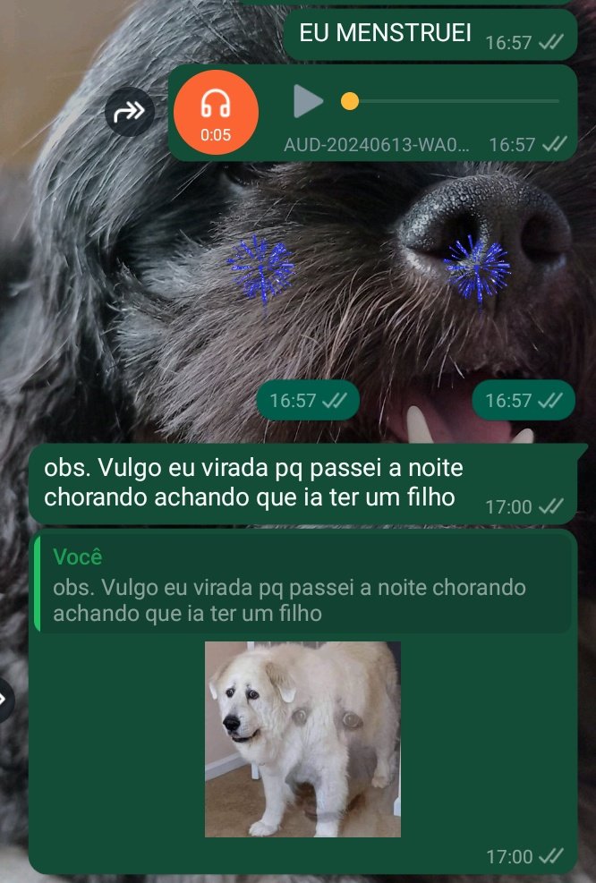 tiazabel's tweet photo. Deus sempre fiel 😍 https://t.co/Ye7OAha7Bh