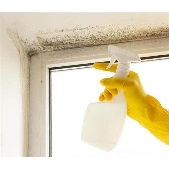 servproswsenwgr's tweet photo. Curious about how to uncover hidden mold in your home? Discover the secrets of a thorough initial assessment to tackle mold effectively and keep your family safe. Call us today for expert service in Grand Rapids at (616) 662-9700.   https://t.co/cRrR54N2Zn https://t.co/LPmfIjL2az