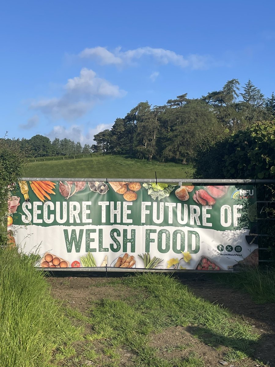 Lowri Price tweet media