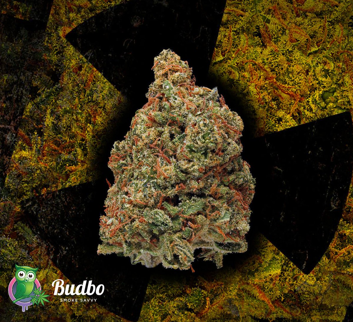 BudboApp's tweet photo. 🌿 Name That Strain! 🌿 Let us know your guess in the comments. Then head over to https://t.co/PsJ2rZnymt and join the Budbo community! Earn crypto, and discover your destiny with our unique token dashboard. 🚀💰
#Budbo #NameThatStrain #CannabisCommunity #EarnCrypto #Blockchain https://t.co/0jdML0d8tT