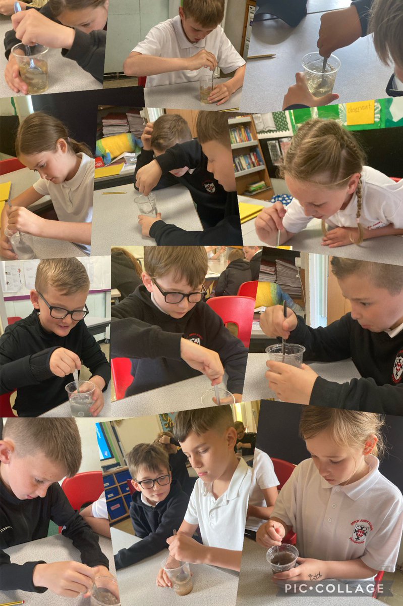 CopleyJuniorYr5's tweet photo. In Science we have been learning about dissolving. We learnt that solute + solvent = solution. Then, we investigated which materials were soluble and which were insoluble, recording our findings in a table. #CopleyScience #separatingmaterials #someofourfindingssurprisedus https://t.co/0ljHfZa6Ux