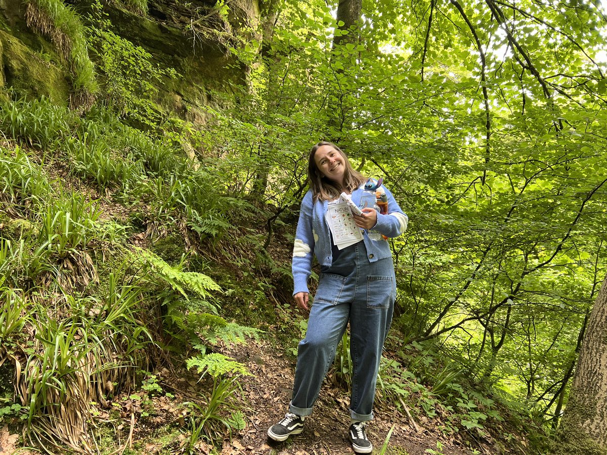 Mr. McMahon 🎨 tweet media