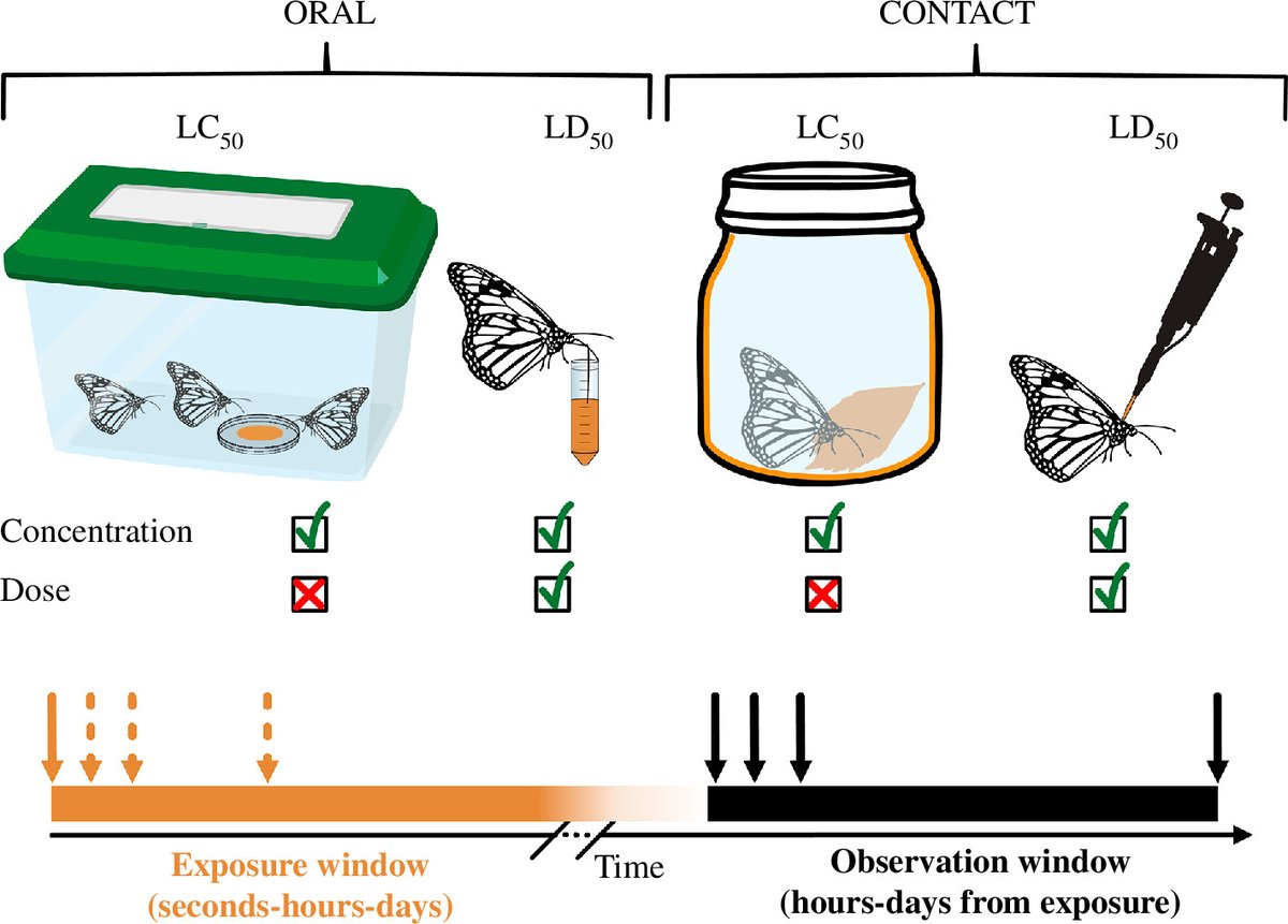 RSocPublishing's tweet photo. New #ProcB Review - Insect sensitivity to imidacloprid #insecticide reveals huge variations across species but also within species. https://t.co/sBwpcREvat @linaperegrina @Biology_LU #pollina https://t.co/vjmOGAAFEP