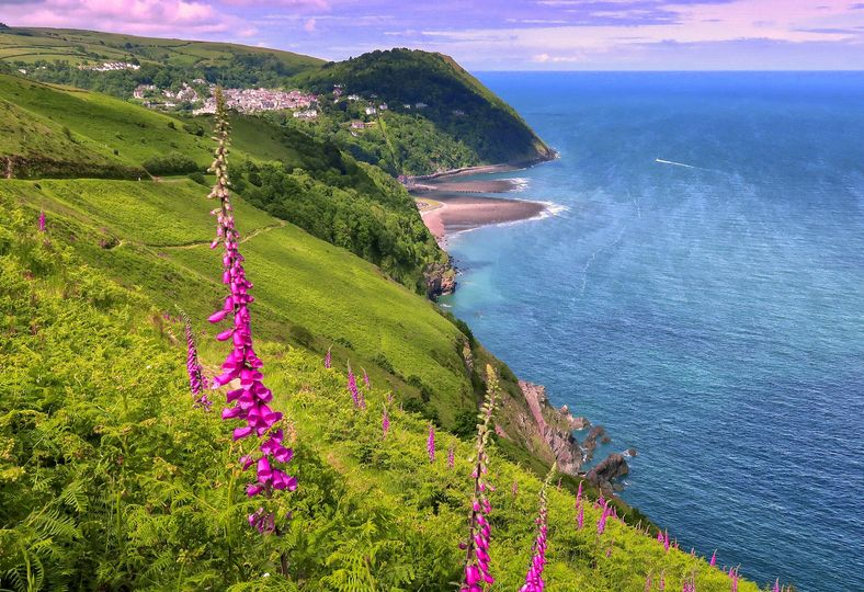 Shelleys Lynmouth (@lynmouthexmoor) on Twitter photo 