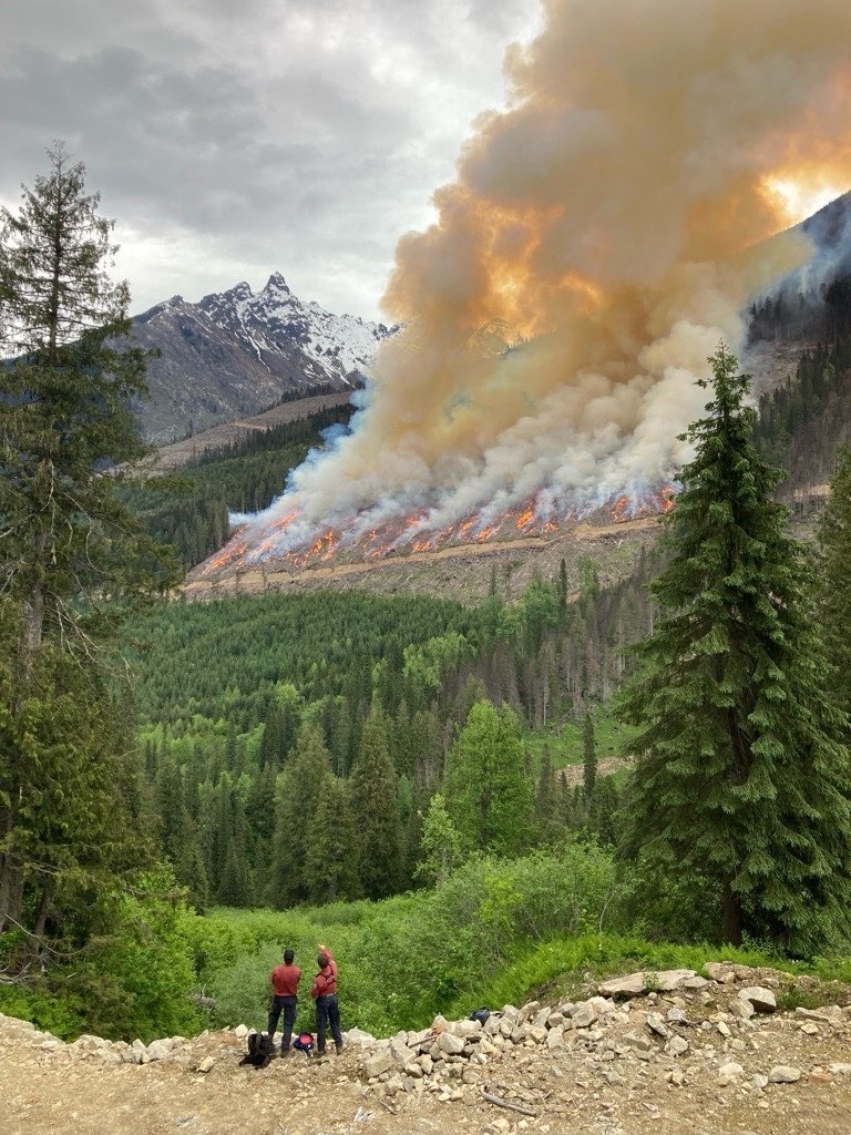 BCGovFireInfo's tweet photo. After regular precipitation through May and early June, followed by a warming and drying trend this week, conditions in many areas of the Southeast Fire Centre are ideal for Category 4 Resource Management burns.

This image is from the Big Mouth prescribed burn on June 9, 2024. https://t.co/Ke3ynyTWBU