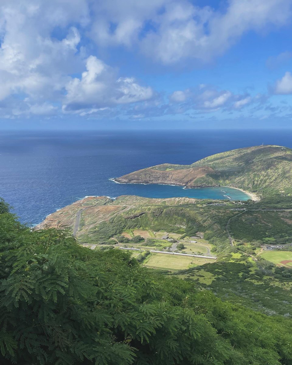 laurenambeau's tweet image. KoKo Head Crater with Kade! 🌋🌺💪🏻#thoseviews