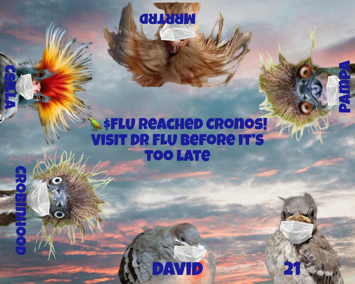 bird with mask tweet media