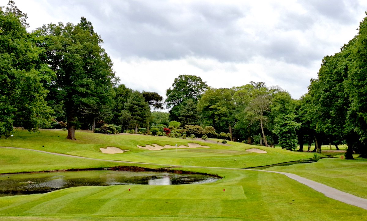 Jezz Ellwood tweet media