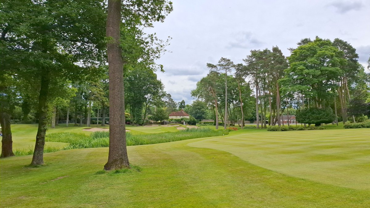 Jezz Ellwood tweet media