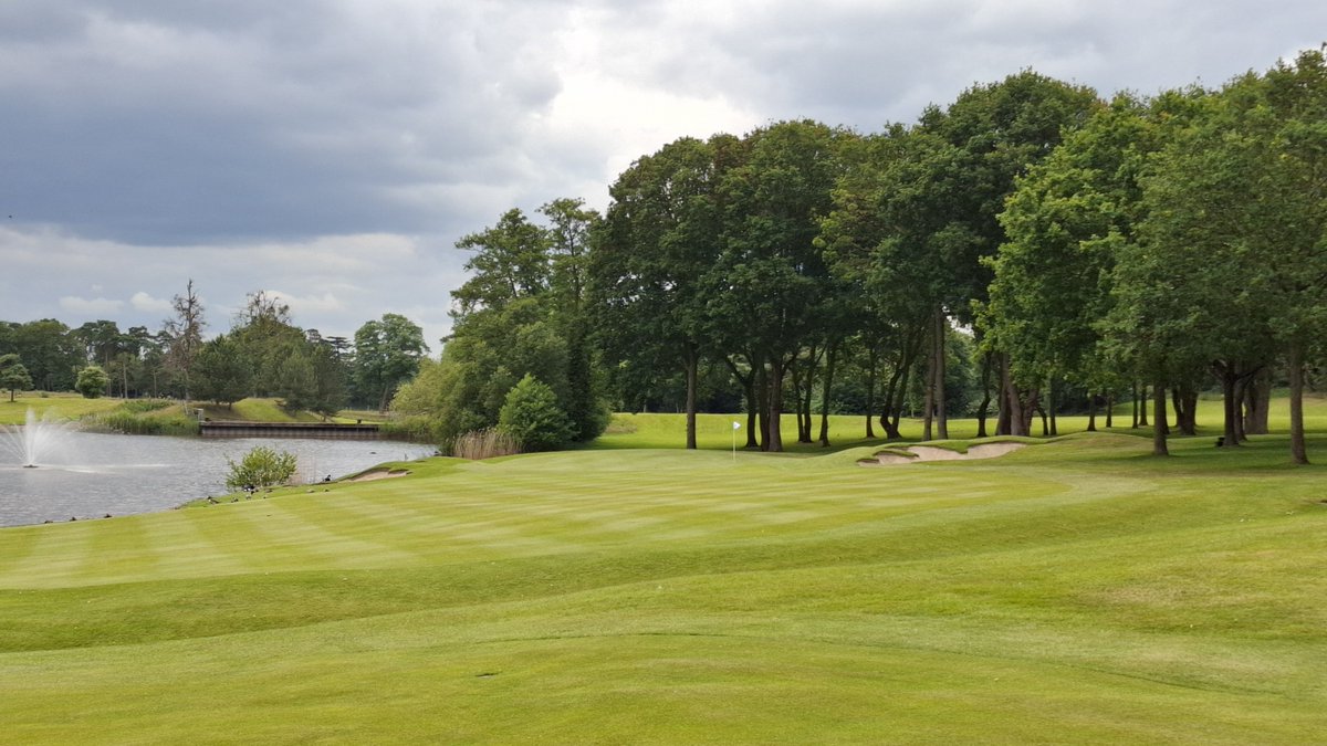 Jezz Ellwood tweet media