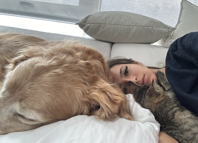 Imagine being mean to me and I&rsquo;m just cuddling with my animals https://t.co/7aQytEHyla<a href="/tag/usedcar"class="tags"><span>#usedcar</span></a>