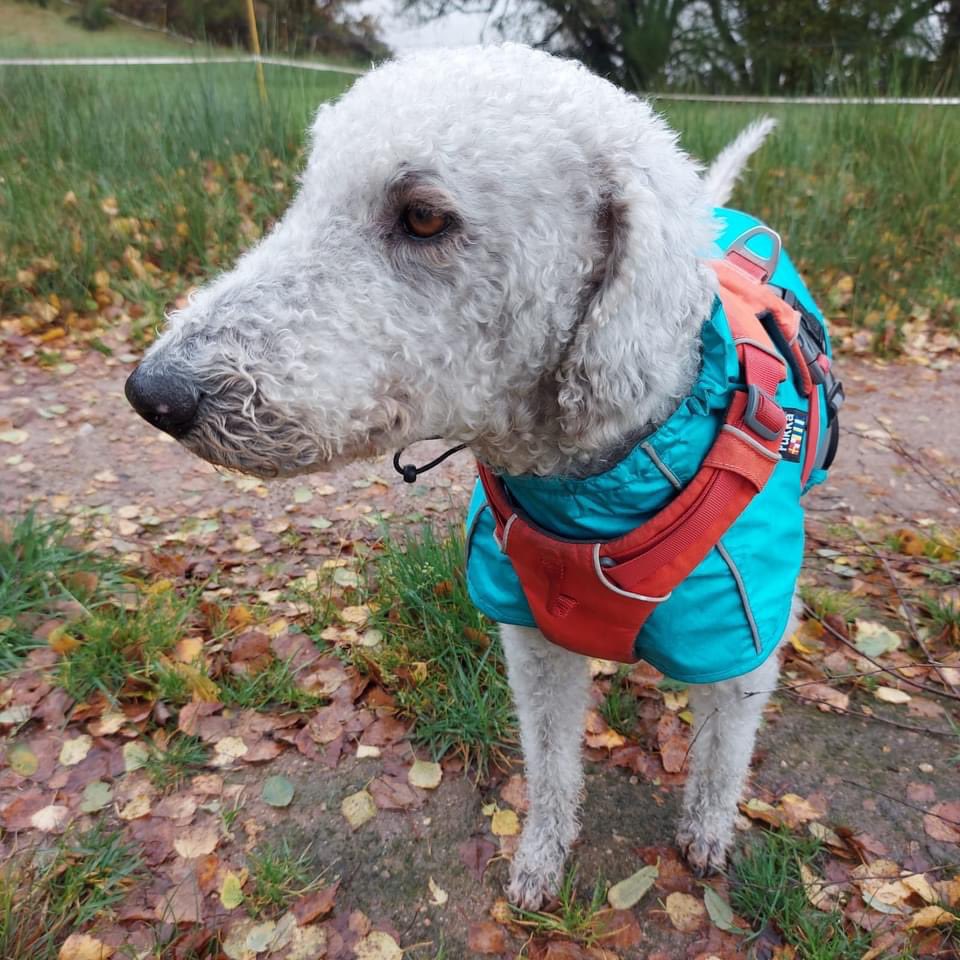 Marie Connell tweet media